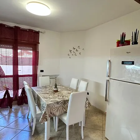 Nyaraló Sasi *